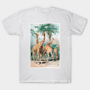 giraffe long neck giraffes T-Shirt